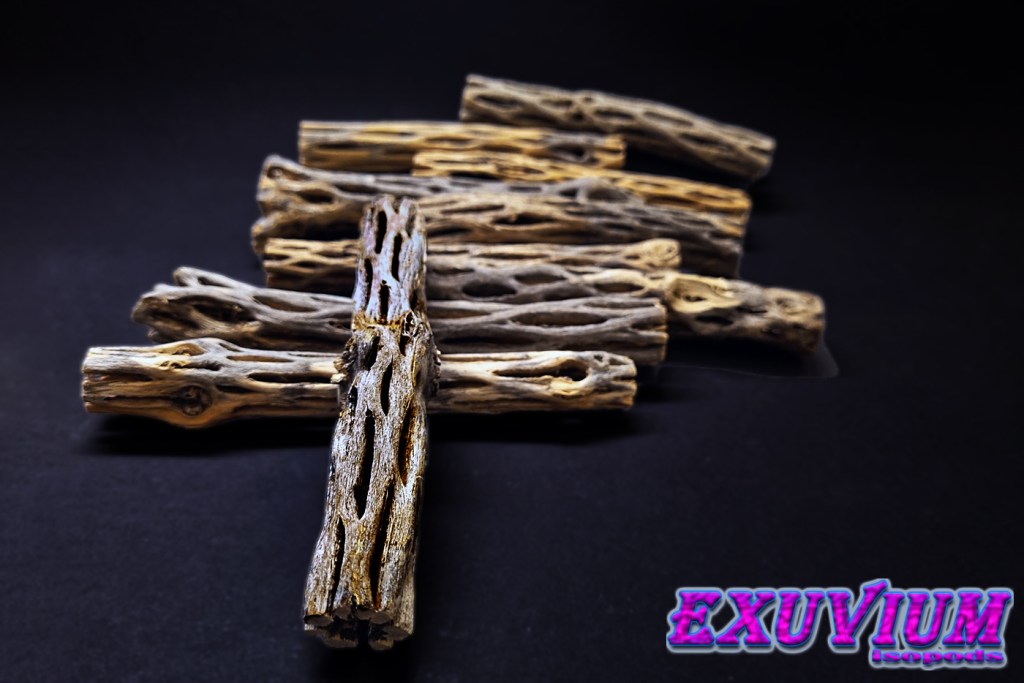 cholla wood for isopods, millipedes, fish and other pet animals. In stock, for sale