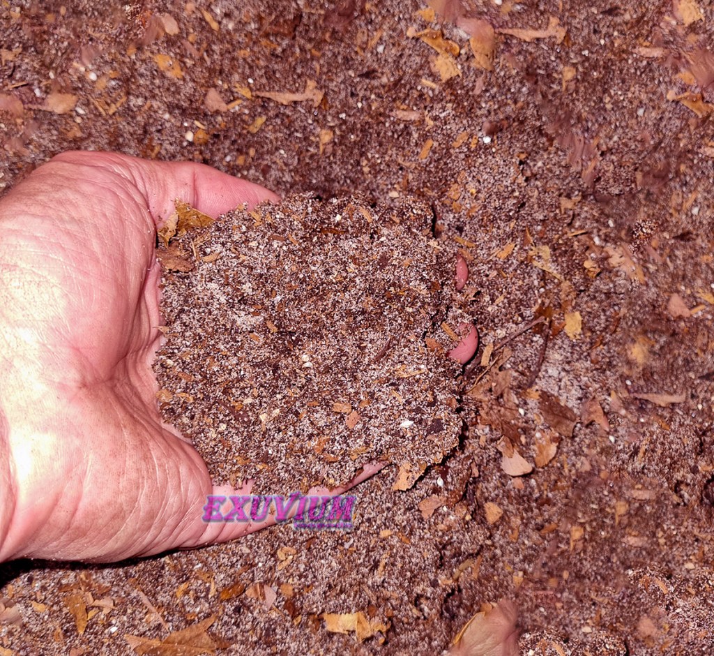 premium substrate for millipedes, isopods, snails, available, in stock, for sale