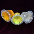 insect jelly, beetle jelly: banana, orange, peach, available, for sale