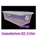 isopodarium, terrarium 5 liter for isopods