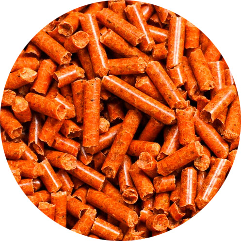 carrot sticks, isopod food, millipede food, roaches food, for sale, available, in stock