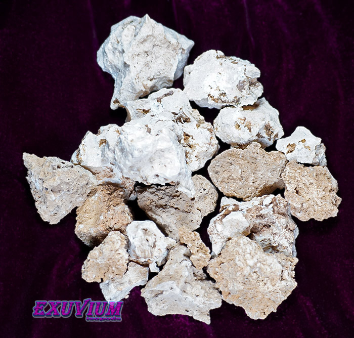 Limestone cut (rock) for Cubaris isopods and other isopods and invertebrates. In stock, available, for sale.