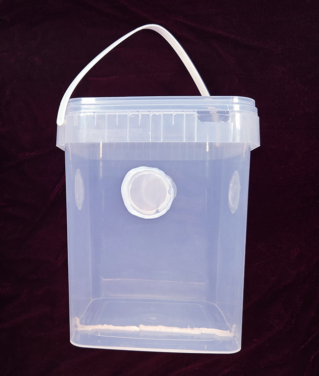 escape proof container for isopods and other invertebrates, braplast, for sale, in stock, available