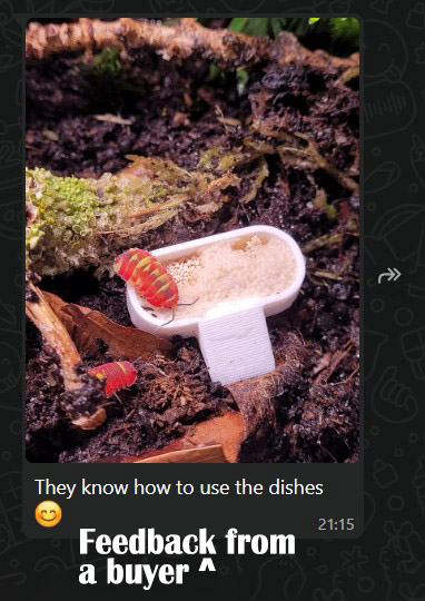 feeding dish for isopods, millipedes, roaches, snails, food dish