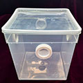 escape-proof bin for isopods