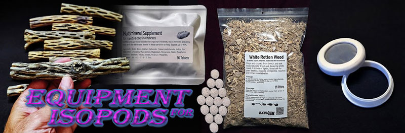 Isopod and invertebrate equipment banner