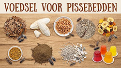voedsel voor pissebedden; wat isopoden eten?