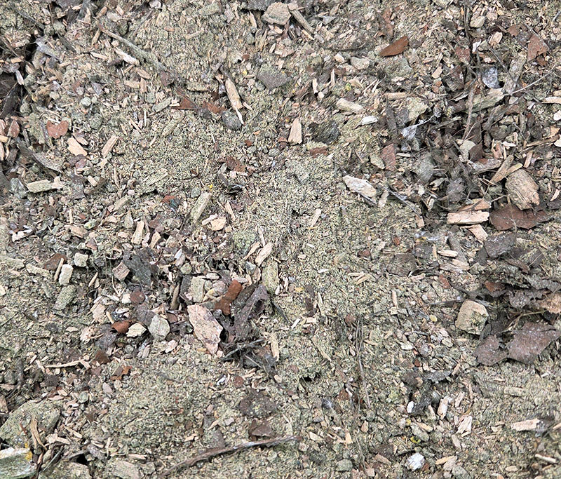 Millipede Gold is a super premium diet, a super premium mix for millipedes, pill millipedes, snails, isopods and other invertebrates