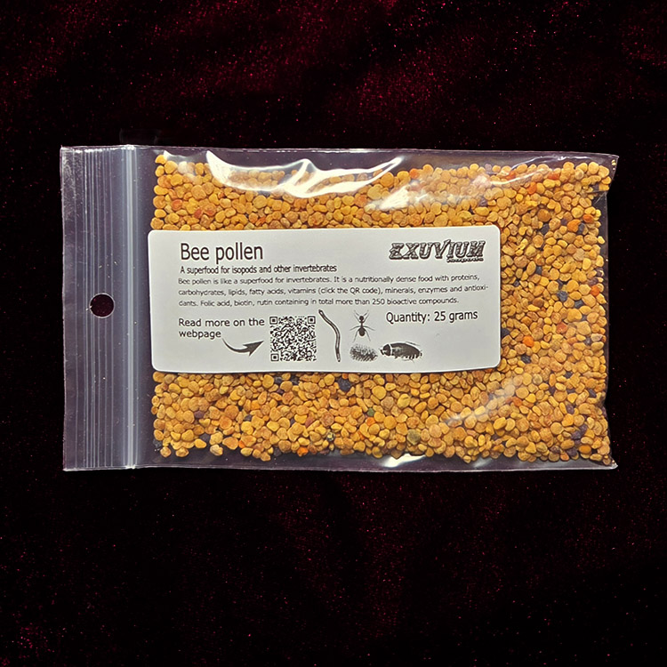 Bee pollen for isopods and other invertebrates  Exuvium Isopods