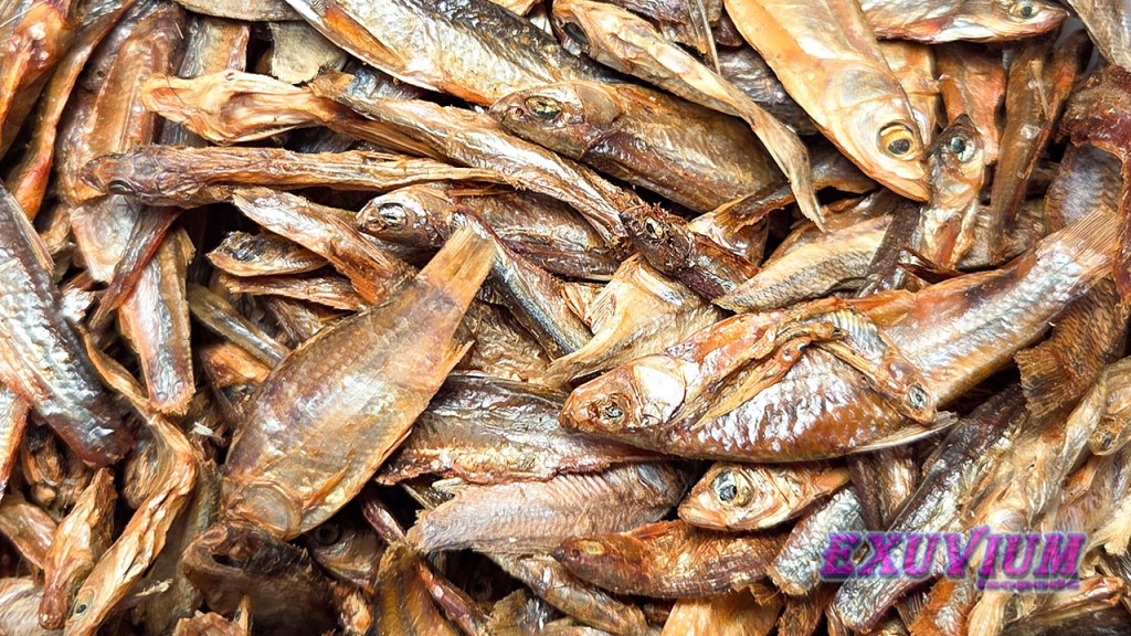Pile of whole dried small fish showing skin, bones, and heads, used as high-protein supplemental food for isopods and other invertebrates.